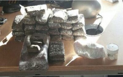 Des armes et 79 kg saisis : les dealers de l’Essonne arrosaient Paris et la province en cocaïne et cannabis