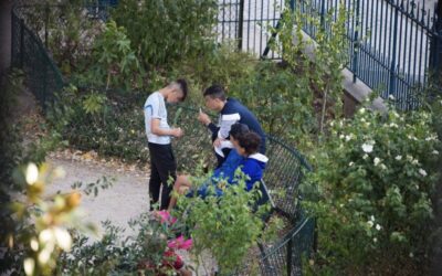 Le blanchisseur présumé de l’argent sale d’un réseau qui exploitait de jeunes voleurs remis en liberté