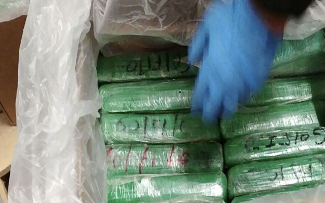Trafic de drogue : 166 kg de cocaïne cachés dans la machine à laver d’un faux déménagement