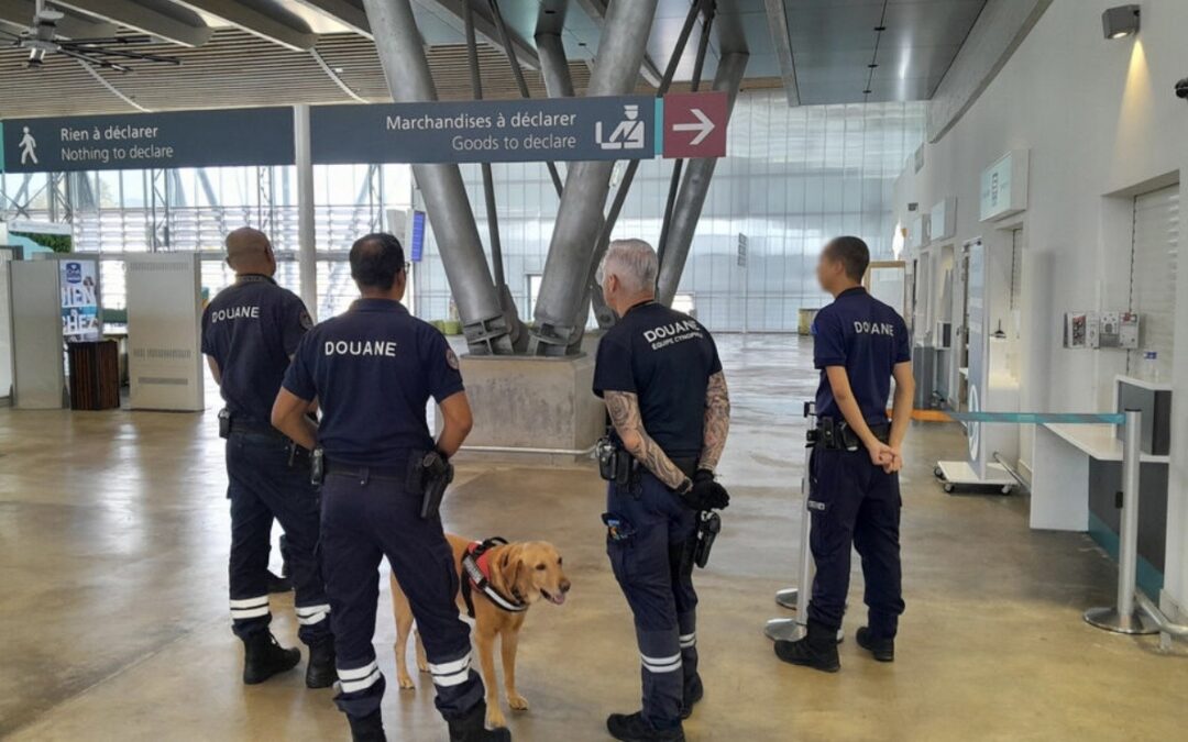 « Gitan », le pionnier parisien du trafic de cocaïne à La Réunion, remis en liberté sur vice de procédure