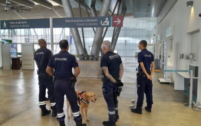 « Gitan », le pionnier parisien du trafic de cocaïne à La Réunion, remis en liberté sur vice de procédure