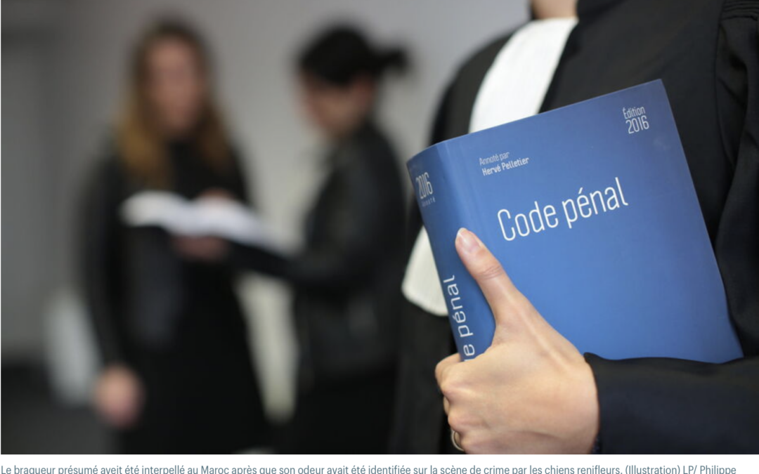 Paris : trahi par son odeur, le braqueur présumé de montres et de bijoux retrouve finalement la liberté